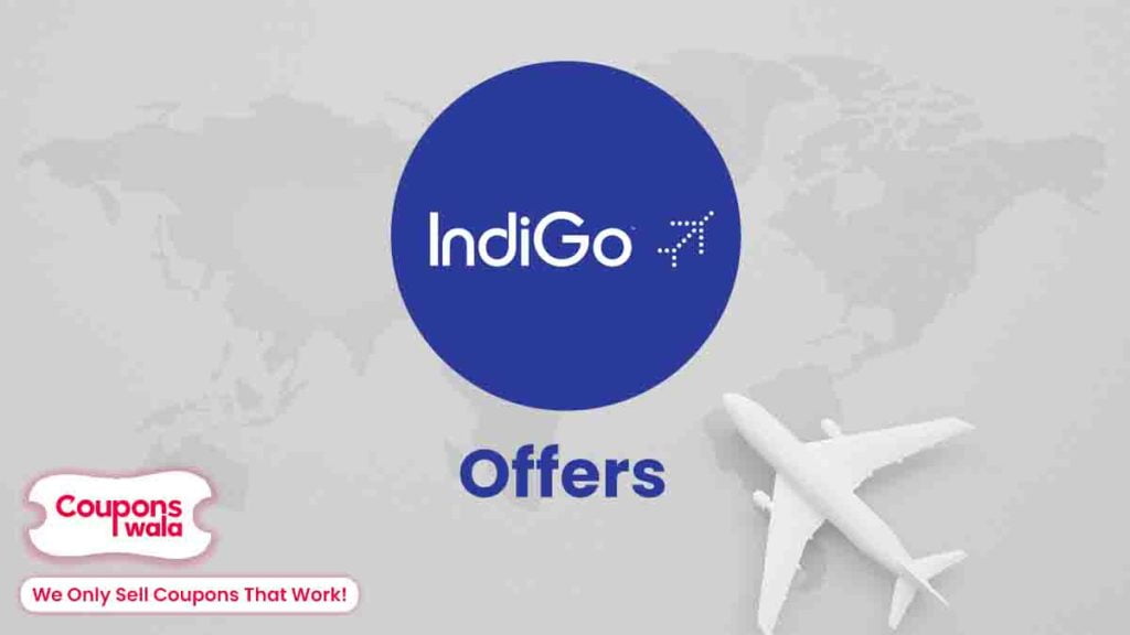 indigo working offer