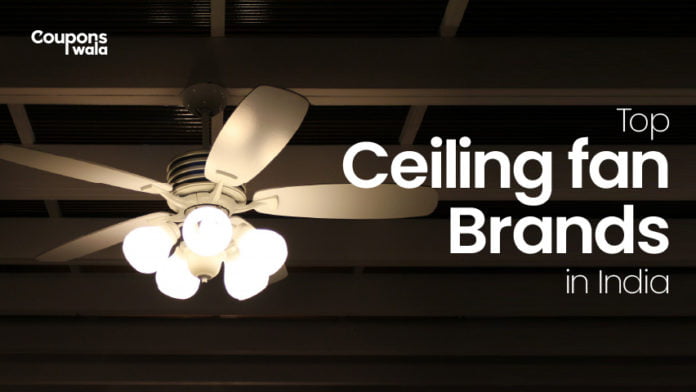 Best Ceiling Fan Company Check Out, Which Ceiling Fan Company Is Best