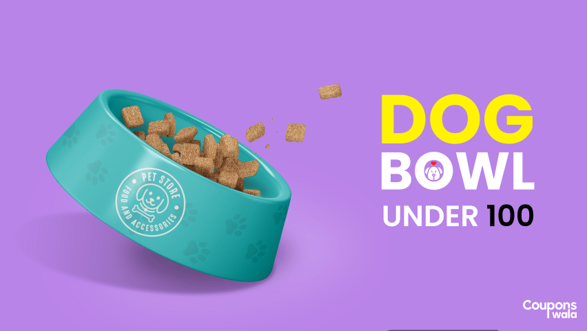 dog bowls under 100