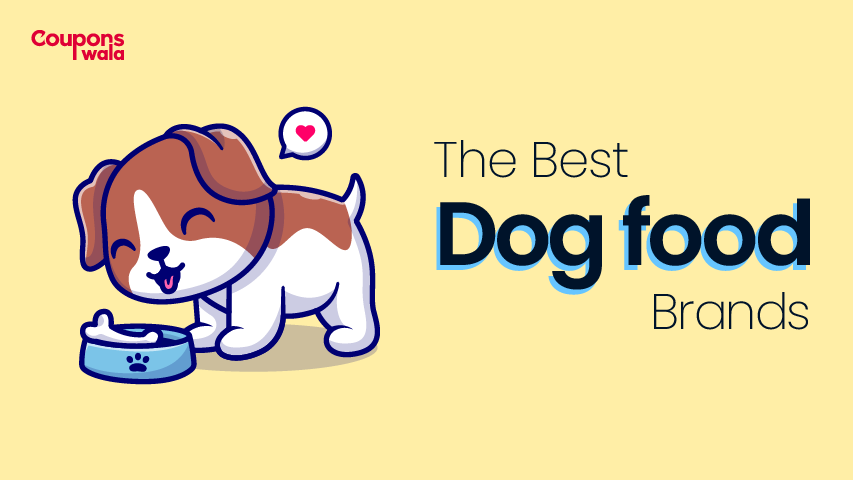 Best Dog Food Brands | Get Upto 50% Off On These Products