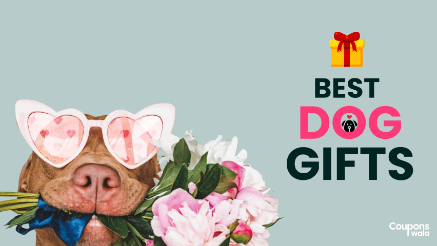 best dog gifts