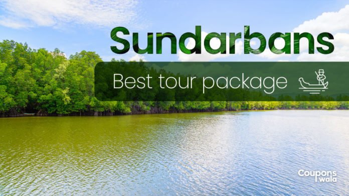 best sundarban tour package