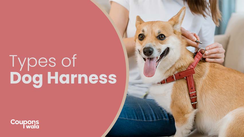 type of dog harness